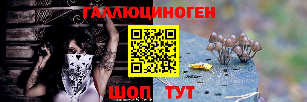 Псилоцибиновые грибы Psilocybine cubensis Ковров